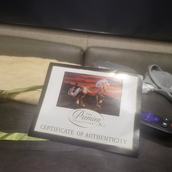 2021 premier club Braveheart - Picture 6 of 7